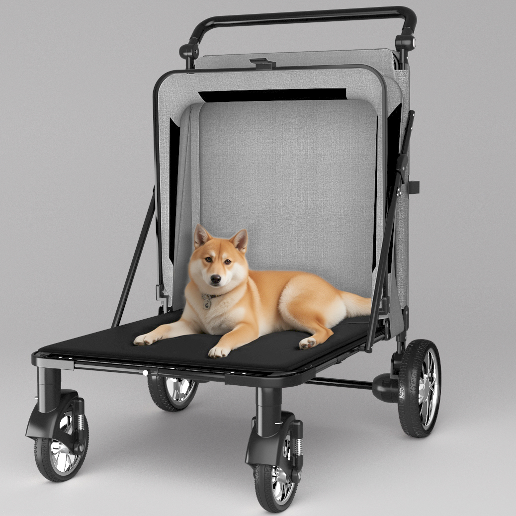 Spacious and well-ventilated cabin